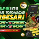 toto togel singapore