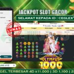 Gates Of Olympus 1000